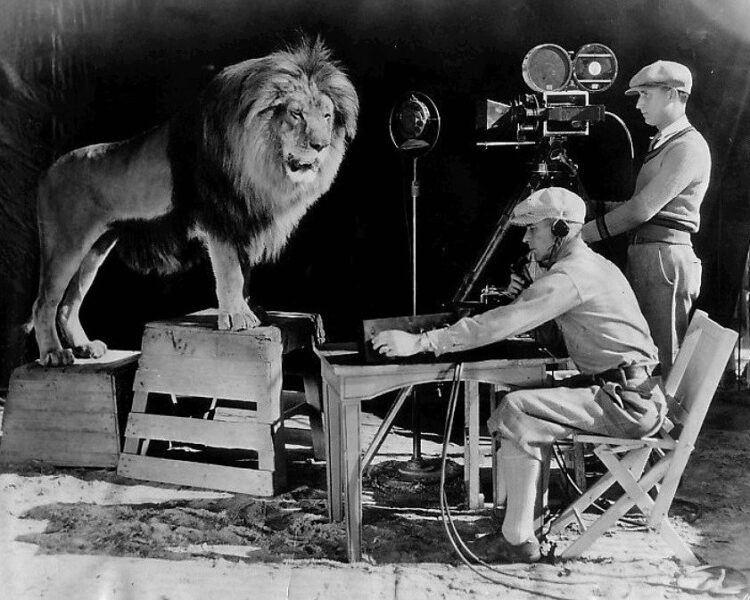 100 Years of the MGM Lion
